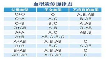 爸爸A型血,妈妈B型血 我会是什么型血 