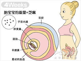 怀孕一个月的症状 注意事项 怀孕一个月胎儿图 亲子百科 