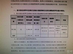 300.000.00万元是多钱？股票公告