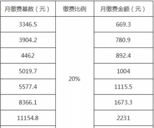 2019年养老保险缴费标准(19年养老保险费多少)