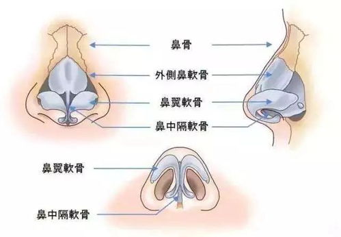 猪鼻子怎么修容