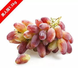 诸暨市美人指葡萄品种特征及高效栽培技术,玲珑葡萄品种介绍