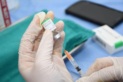新冠疫苗是终身免疫的吗(新冠肺炎疫苗终身有效吗)