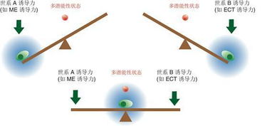 邓宏魁与汤超研究组在 细胞 Cell 发表封面论文报道细胞重编程过程中的创新方法和理论 