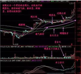 如何判断老鸭头典型趋势形态，有何选股技巧