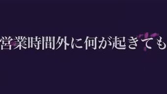 听小刘讲汽车知识的个人频道 