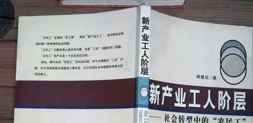 农民工 叫法即将取消,新名字体面又好听 你支持吗