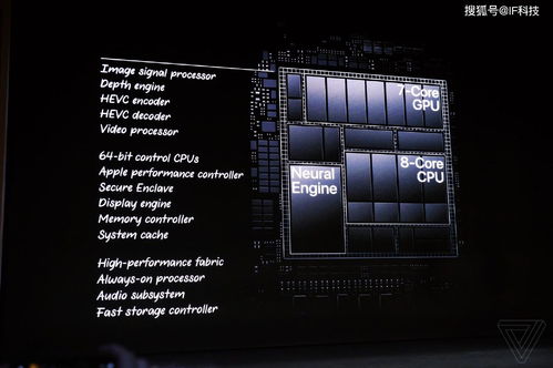 苹果gpu相当于什么显卡(苹果M2 Pro GPU性能对比)