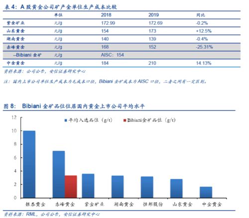 如何优化公司治理结构？