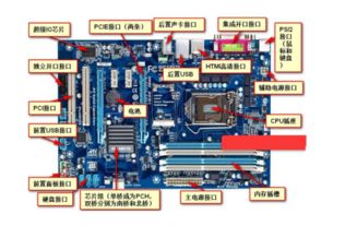 什么是四核 这所谓的四核安装在哪