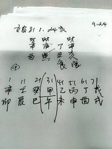 辛酉年庚寅月丁丑日辛亥时女八字有子吗 