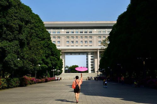 广西这些专科院校,区内用人单位认可度较高,毕业生就业难度不大