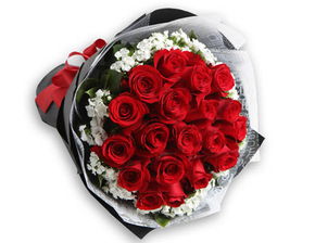 第一次送花给女朋友送什么花,第一次送女朋友鲜花，送什么花好？几朵？