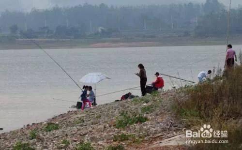 雨季水库涨水,这样选钓位,渔获肯定翻倍