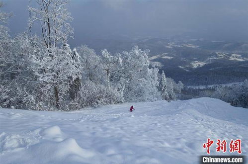 中国北疆广迎春雪 粉雪季引雪友 发烧