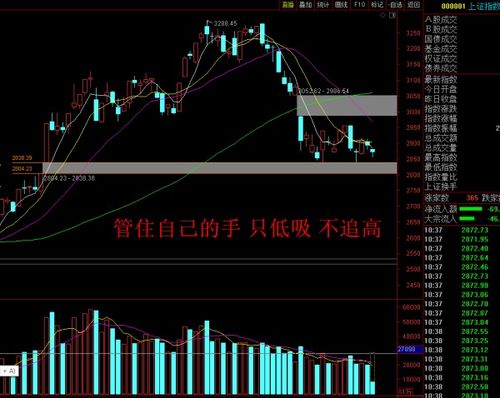 通达信自选股中如何将个股由第二版移至第一版