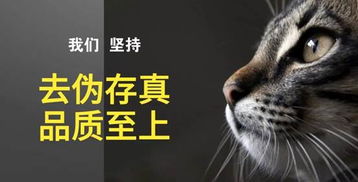 首家 测评 展会落户羊城 2019广州宠物文化节匠心呈现