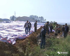 永宁村上百祖坟一夜被铲平,谁这么大胆 