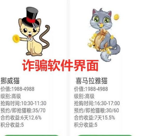 福建厦门 云养猫 还能赚钱 女子投资虚拟养猫被骗1 7万元 App 