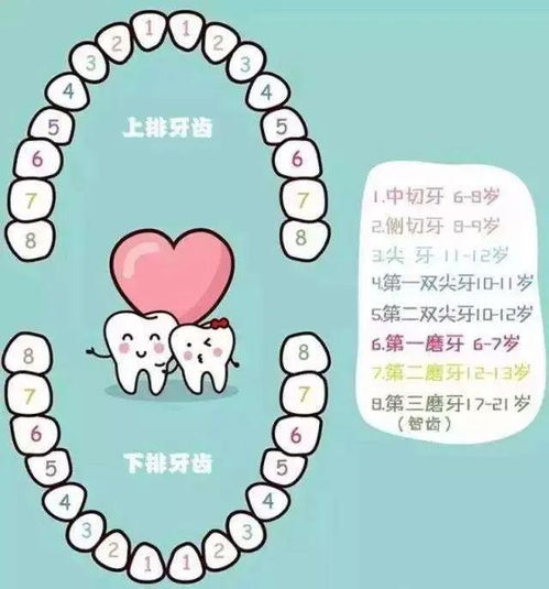 宝妈收藏 儿童换牙干货大盘点,赶紧看看吧