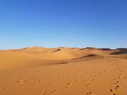 沙漠底下是什么样子 如果把沙子挖走,人类可能会找到什么东西