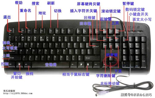 电脑入门 认识键盘及操作