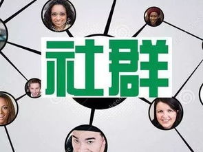 社群是未来的创业风口吗你怎么看