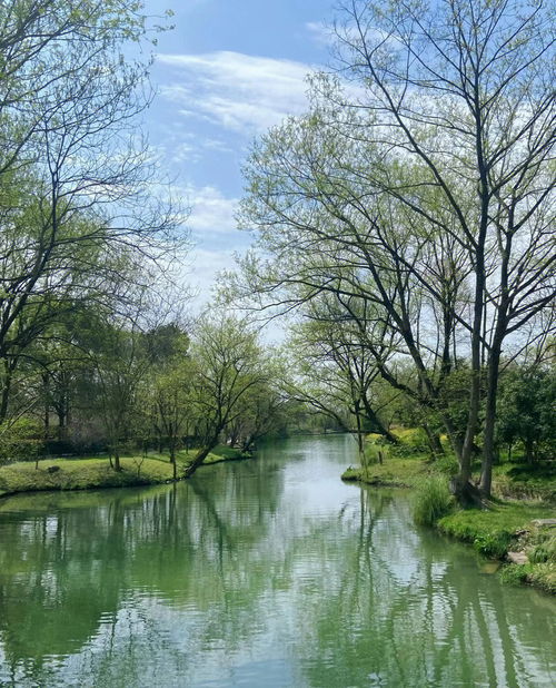 杭州西溪湿地游玩攻略,赶紧码住 