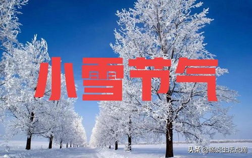 天气预报 今年冬天冷不冷 小雪节气早预兆 看看老祖宗的谚语