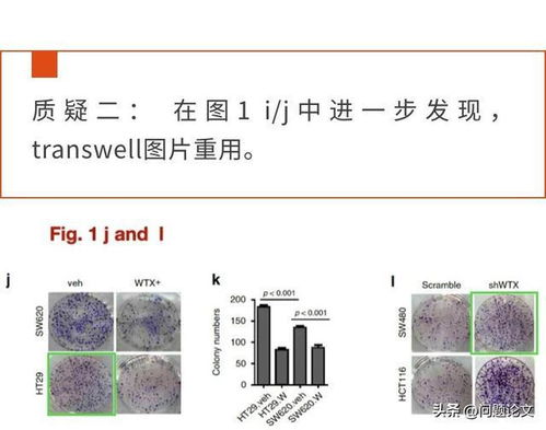 福建医科大学查重论文