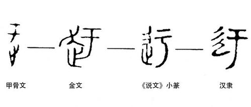 说文解字 第282课 细说 迂 字