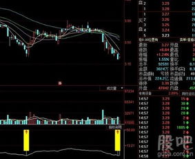 股票中说的割到地板上了是什么意思