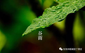 谷雨是哪一天谷雨