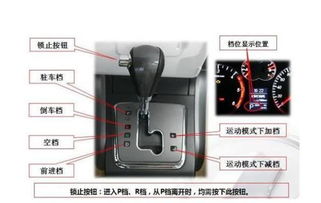 档位prds表示什么-图2