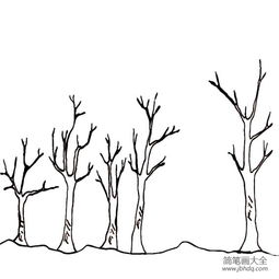 树干纹理怎么弄好看，树干纹理的画法(树干的纹路简笔画)