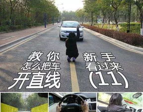 科三直线道路宽还是窄好开