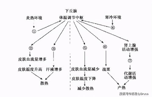 零下15度之内，在水里加盐，比例是多少可以达到防冻的目的，加什么类型的盐好