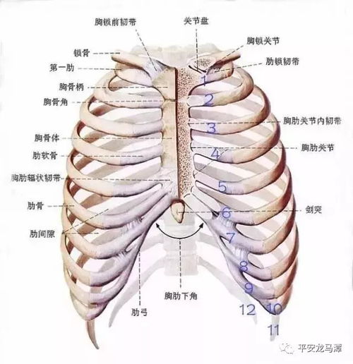 可恶 家暴男 当街打断妻子14根肋骨,泸州上演真实版 不要和陌生人说话