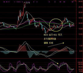 可以搜索有哪些kdj金叉和macd金叉的个股吗