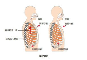 胸痛 膏肓痛 火烧心,这些你可以自己消除,3个动作就舒缓 