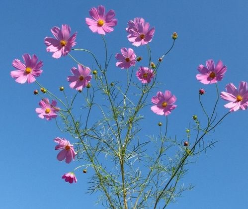 进入5月下旬,鸿运当头,4属相万事如意,日子红红火火,前程似锦