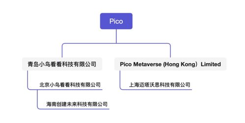 独家 字节元宇宙公司浮出水面,国内互联网大厂中首次以Metaverse命名