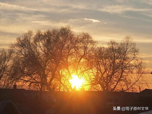 写在二零二一年的最后一天 人生是一场没有退路的旅程