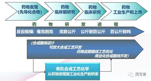 新药开发过程中应完成哪些与药理毒理有关的研究工作