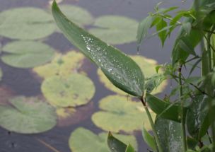 2022年的梅雨季节是什么时间？