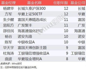 中国都有哪些明星债券基金经理