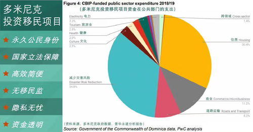 移民多米尼克流程(移民多米尼克需要什么条件)