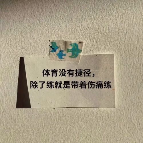 体育生励志快乐训练记录_初三体育训练励志文案？