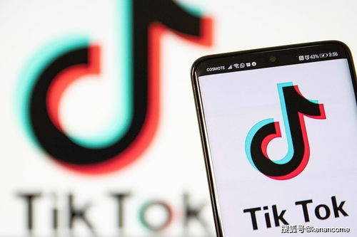 TikTok的账号体系指南_tiktok廣告投放台灣