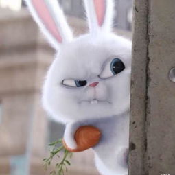 如图 一只躲在墙后面抱着胡萝卜的兔子叫什么名字 这只兔子别的图片在哪能找到 